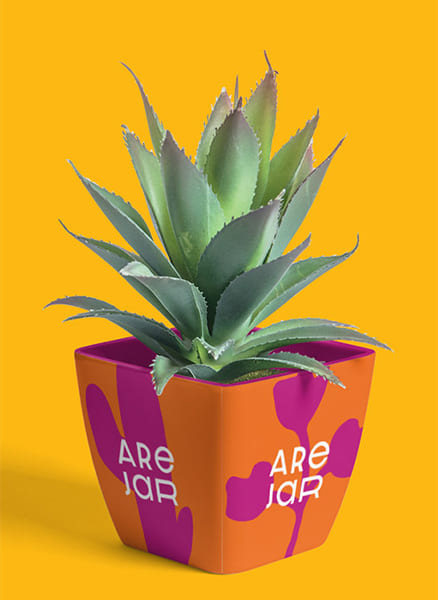 Are Jar Imagem de uma planta em um vazo Are Jar